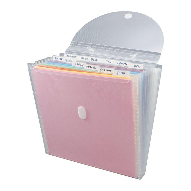 Clear Expandable Paper Organizer with 12 Pockets