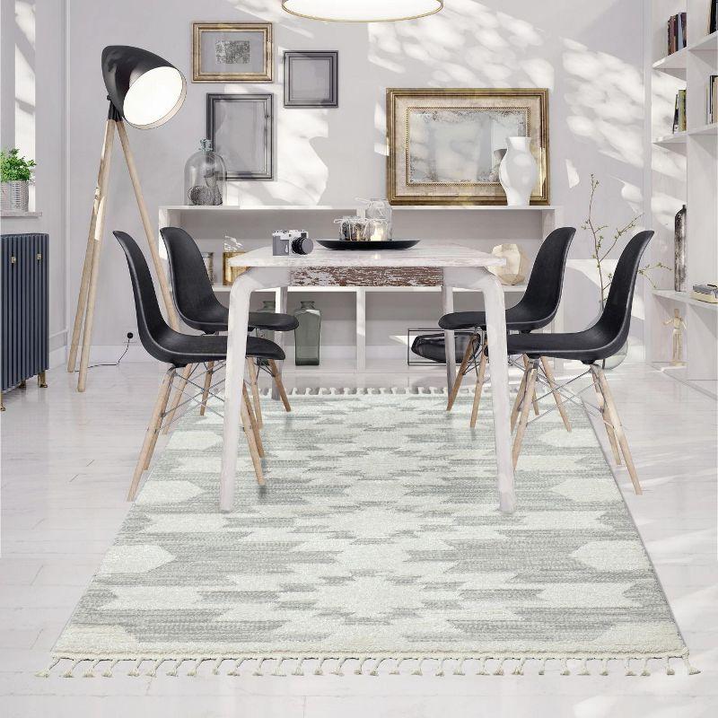 Geometric Braided Fringe 5' x 7' Gray Synthetic Area Rug