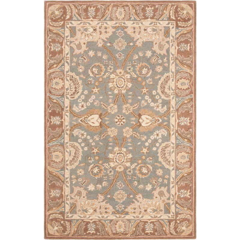 Anatolia AN558 Hand Tufted Indoor Area Rug - Teal/Camel - 5'x8' - Safavieh