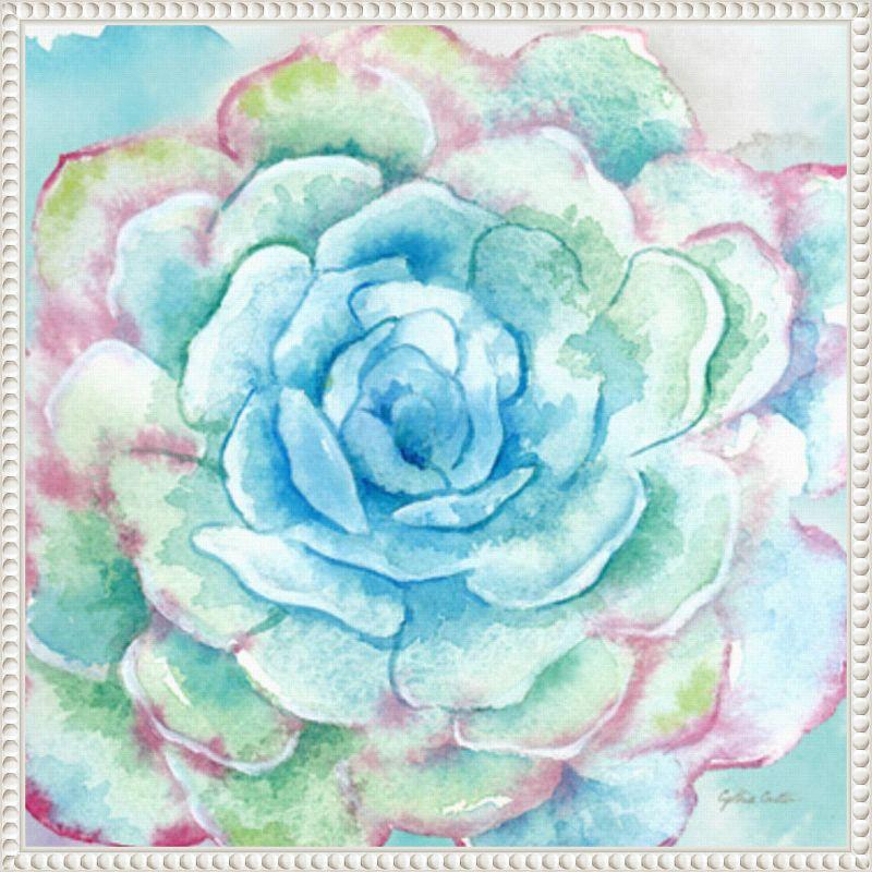 Amanti Art Sweet Succulents I by Cynthia Coulter Framed Wall Art Print