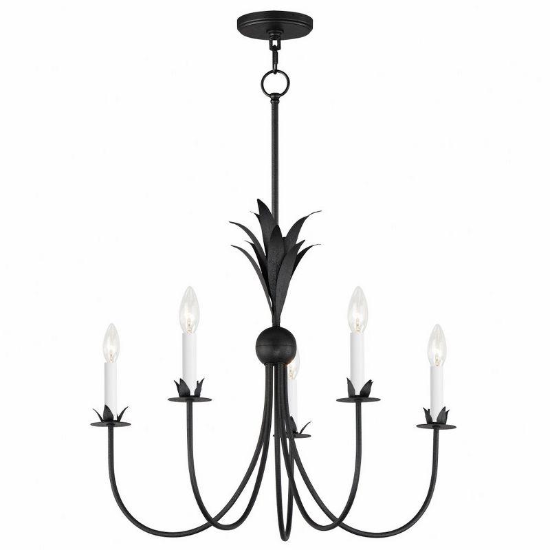 Maxim Lighting Paloma 5 - Light Chandelier in  Anthracite