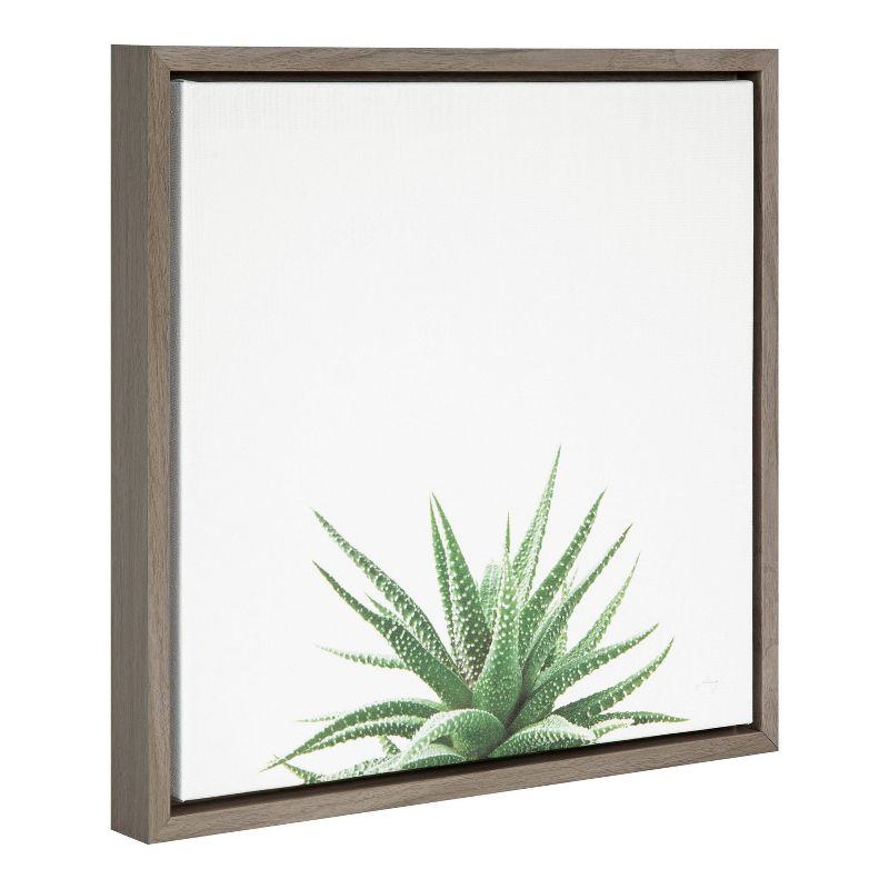 16"x16" Succulent Simplicity I Neutral Framed Canvas Wall Art - Amanti Art: Haworthia Fasciata Botanical Decor