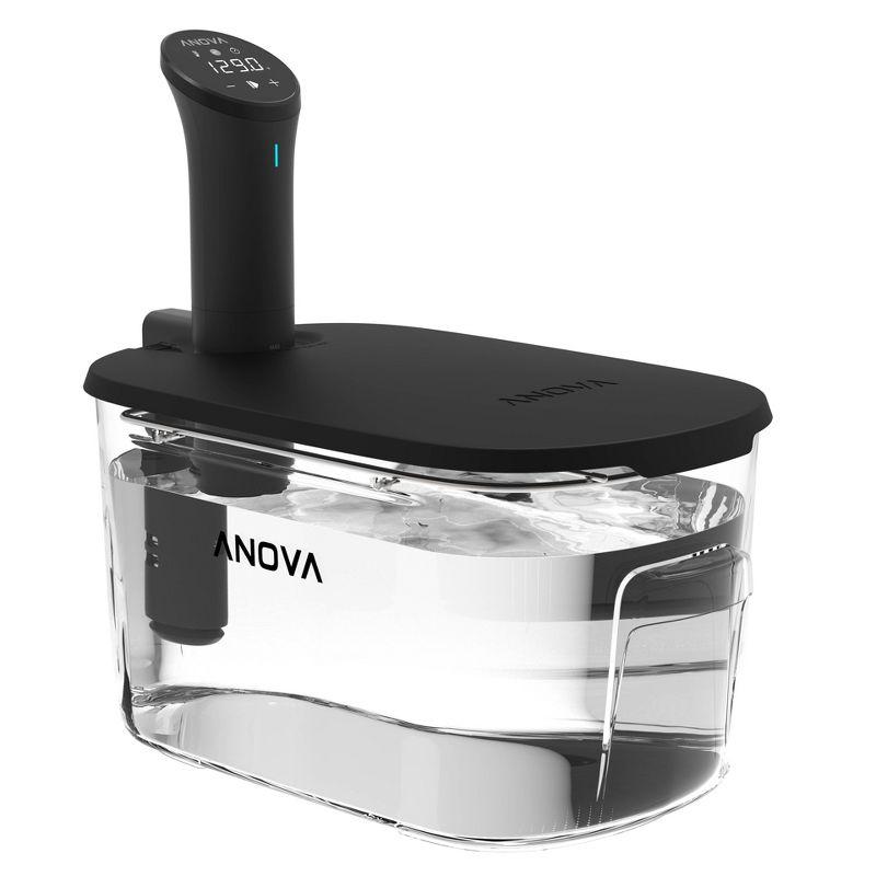 Compact Black and Clear Precision Cooker with Container