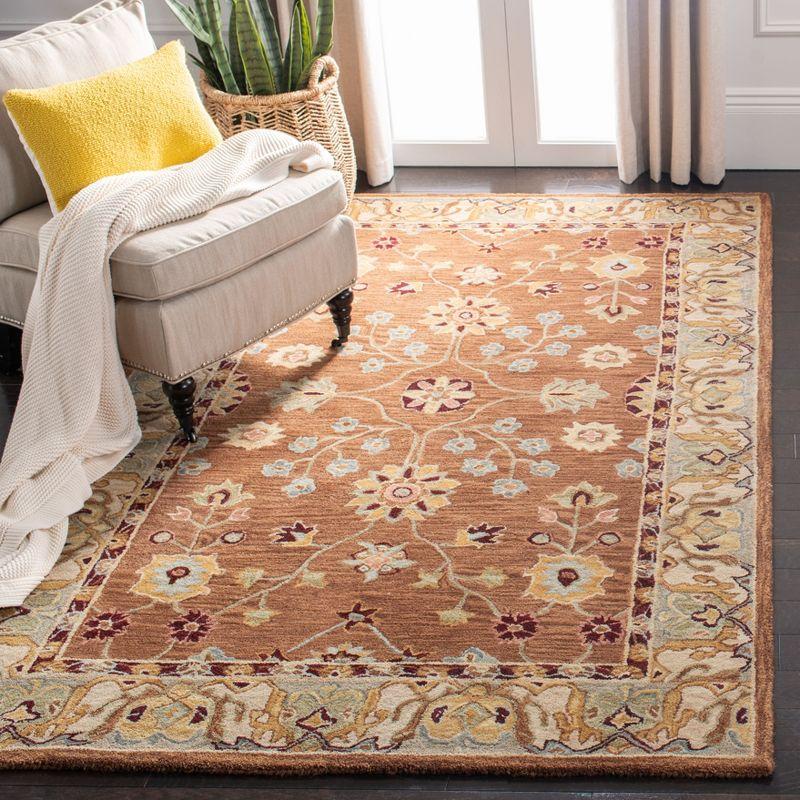 Anatolia AN562 Hand Tufted Indoor Accent Rug - Tan/Ivory - 3'x5' - Safavieh