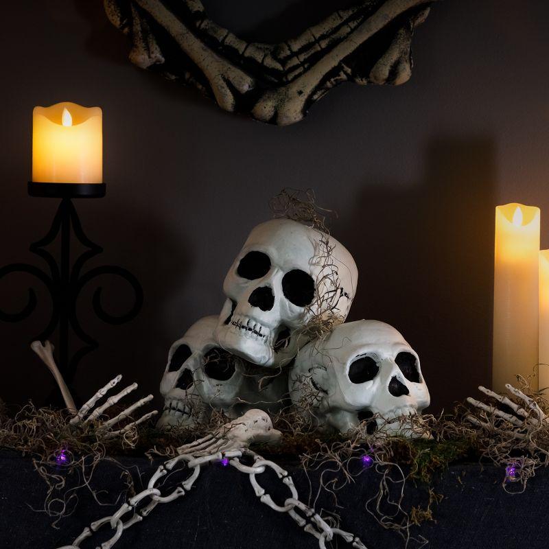 Set of 3 Realistic Plastic Halloween Skull Decorations