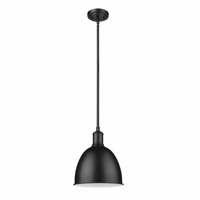 Matte Black Glass Indoor/Outdoor Pendant Light