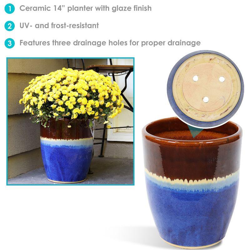 Sunnydaze Indoor/Outdoor Captivating Vista Decorative Glazed Ceramic Planter for Greenery or Flowers - 14"