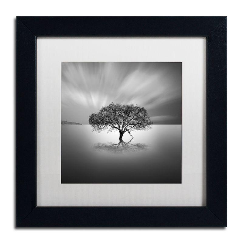 Trademark Fine Art Water Tree VIII Framed Photographic Print on Canvas & Reviews | Wayfair