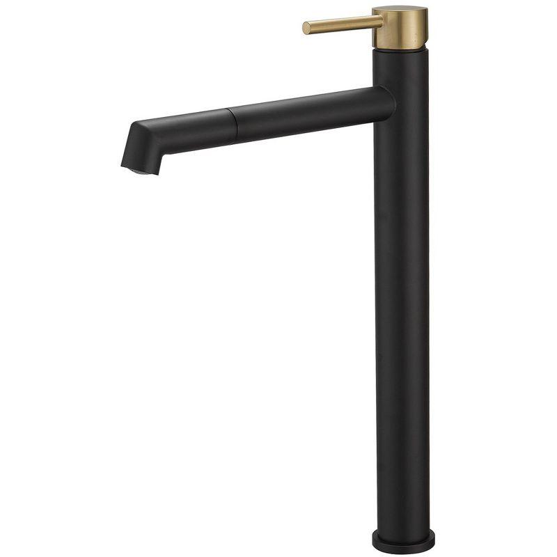 Matte Black and Gold Stainless Steel Single Handle Bathroom Faucet