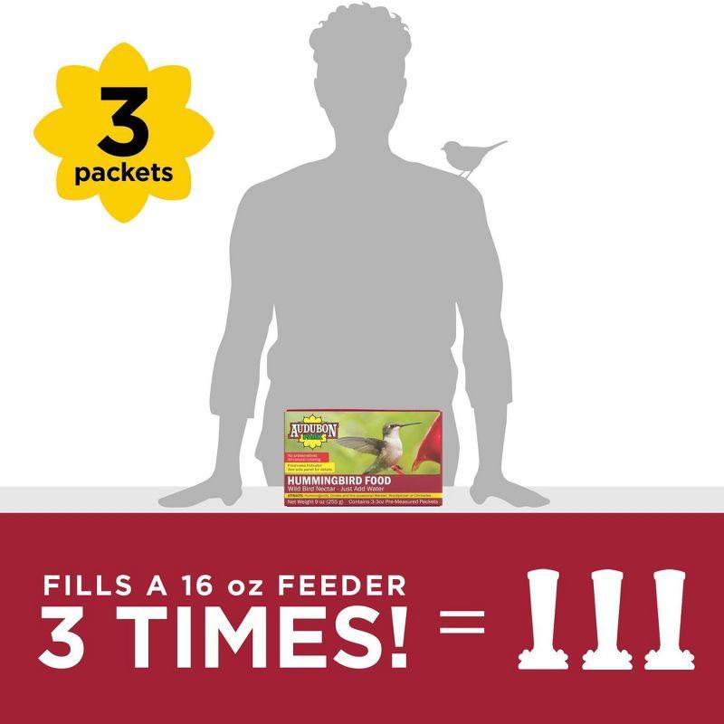 Audubon Park 9oz Hummingbird Bird Food