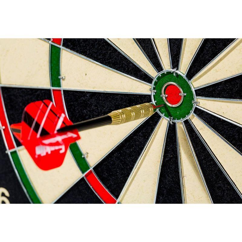 Pro Wire Bristle Dartboard