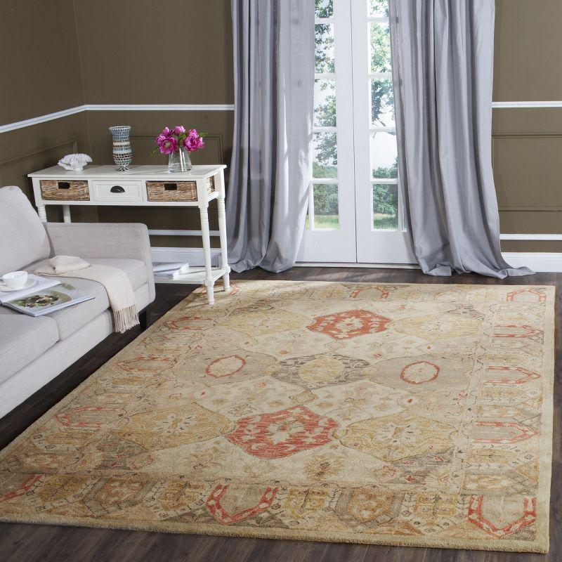 Antiquity AT830 Hand Tufted Area Rug  - Safavieh