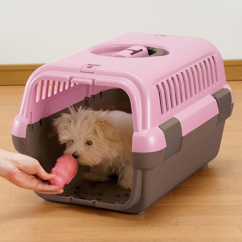 Plastic Pet Carrier