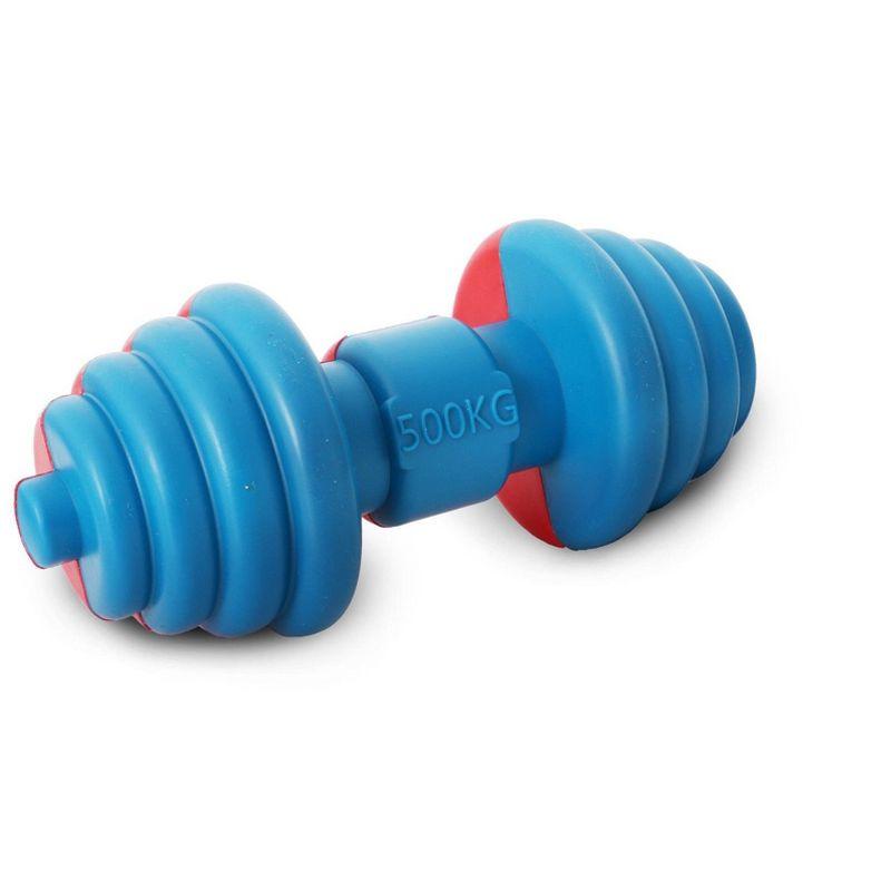 Pet Life Iron Wag Durable Chew and Fetch TPR Waterproof Floating Dog Toy