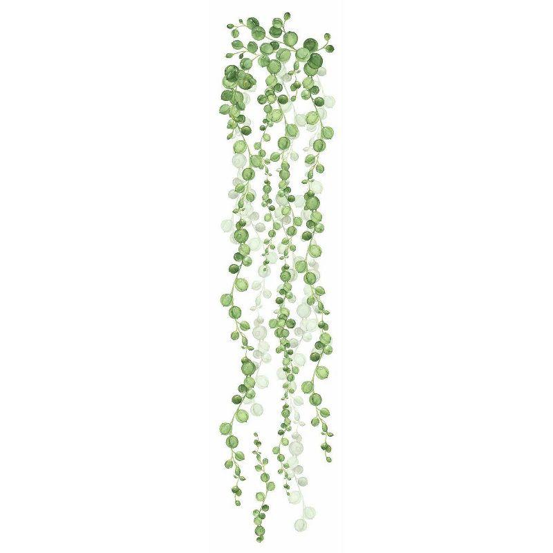 36.5" x 9" String of Pearls Vine Peel and Stick Wall Decal - RoomMates: Removable, Modern Botanical Decor