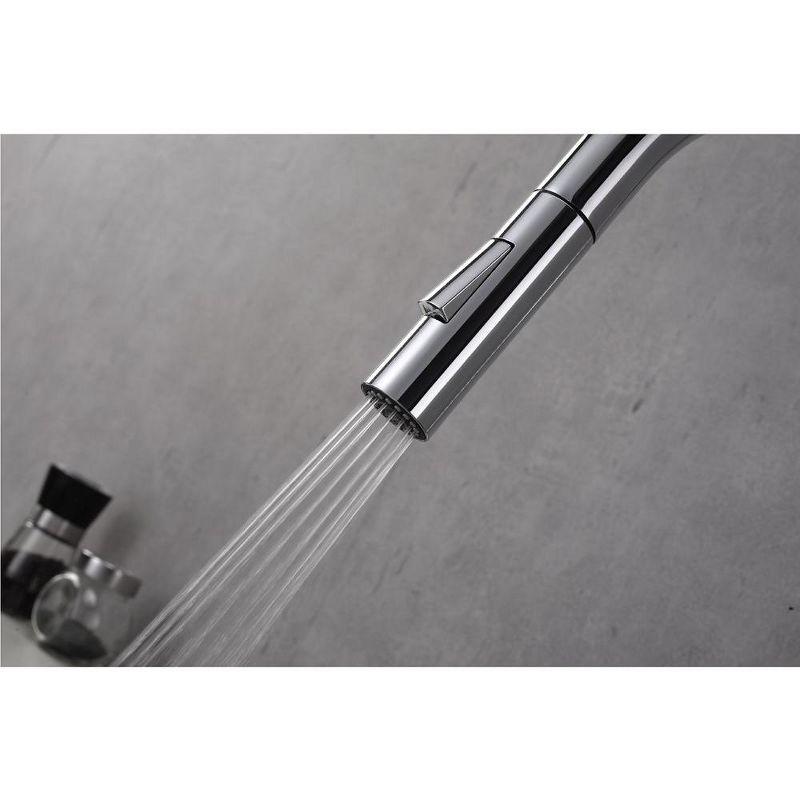 Pull Down Single Handle Kitchen Faucet with Accessories