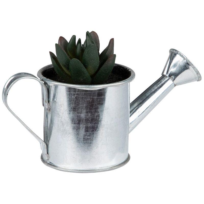 Northlight 4" X Pachyveria Succulent in Water Can Artificial Potted Plant - Green/Silver