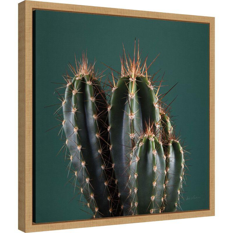 Amanti Art Cactus IV by Andre Eichman Canvas Wall Art Print Framed 16 x 16-in.