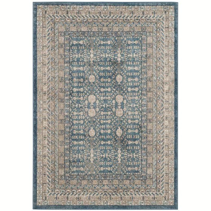 Sofia SOF376 Power Loomed Indoor Area Rug - Blue/Beige - 4'x5'7" - Safavieh.