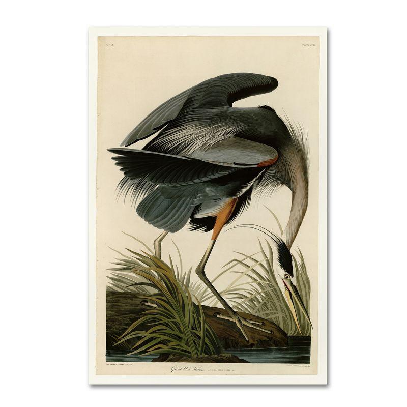 Great Blue Heron Canvas Art by John James Audubon