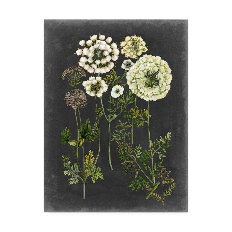 Naomi McCavitt Green and White Floral Canvas Art