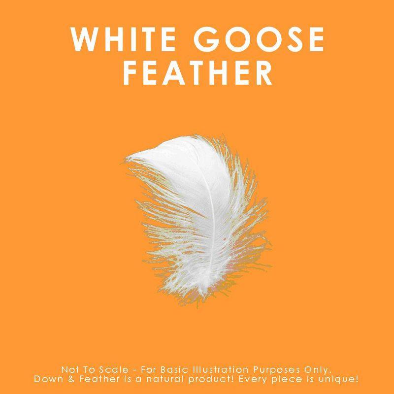 Canadian Down & Feather Company White Goose Feather Pillow - 2 Pack (Set of 2)