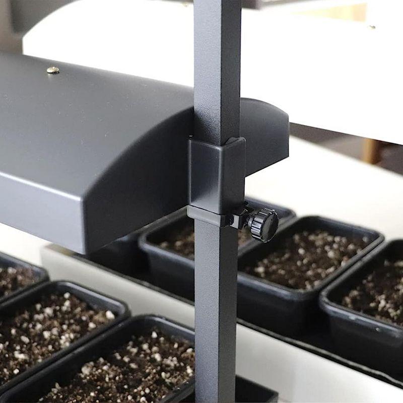 Sunblaster Sunblaster Growing Kit