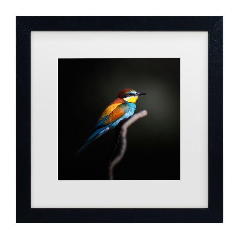 Colorful Bird Print on Canvas with Black Wood Frame