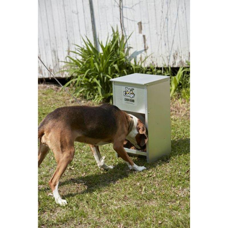 Little Giant Pet Lodge Dry Food Automatic Steel Dog Feeder Chow Hound 25 Pound Capacity