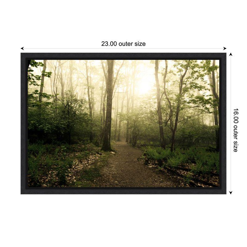 Amanti Art Appalachian Trail by Andy Magee Framed Canvas Wall Art