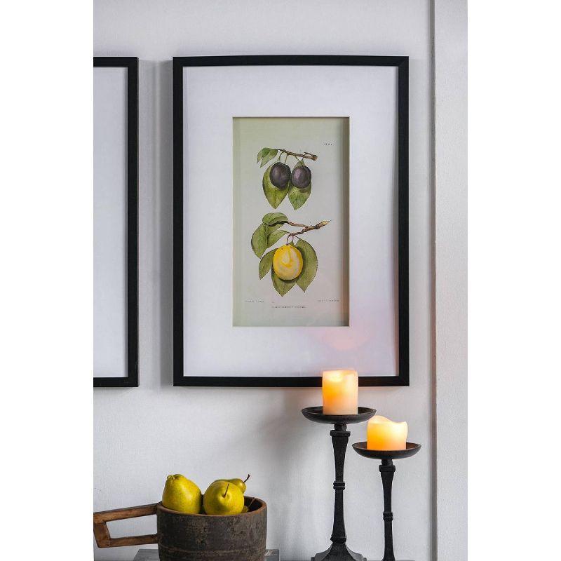 Set of 2 Smithsonian Fruit Framed Wall Arts - A&B Home: Transitional Decor, Vertical Orientation, Includes Mounting Hardware
