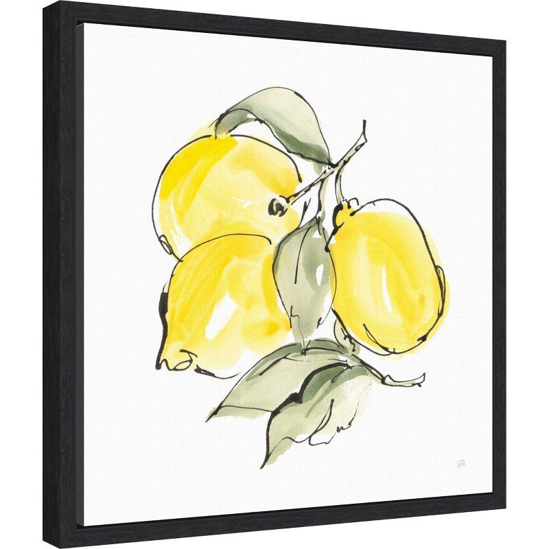 Amanti Art Lemons III by Chris Paschke Canvas Wall Art Print Framed 16 x 16-in.