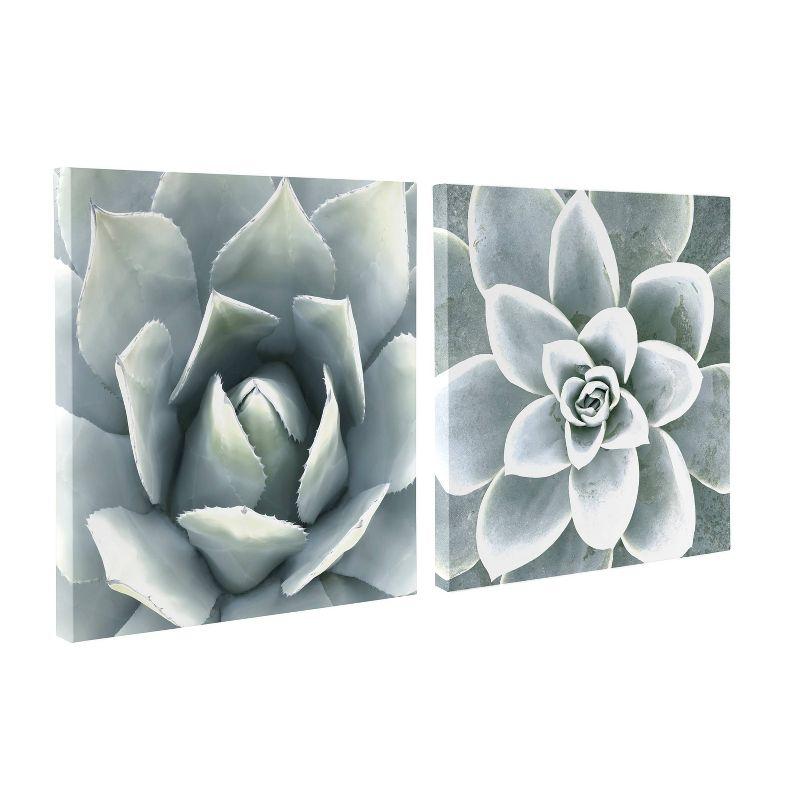 Union Rustic " Soft Botanical Succulents " by The Creative Bunch Studio 2 - Pieces