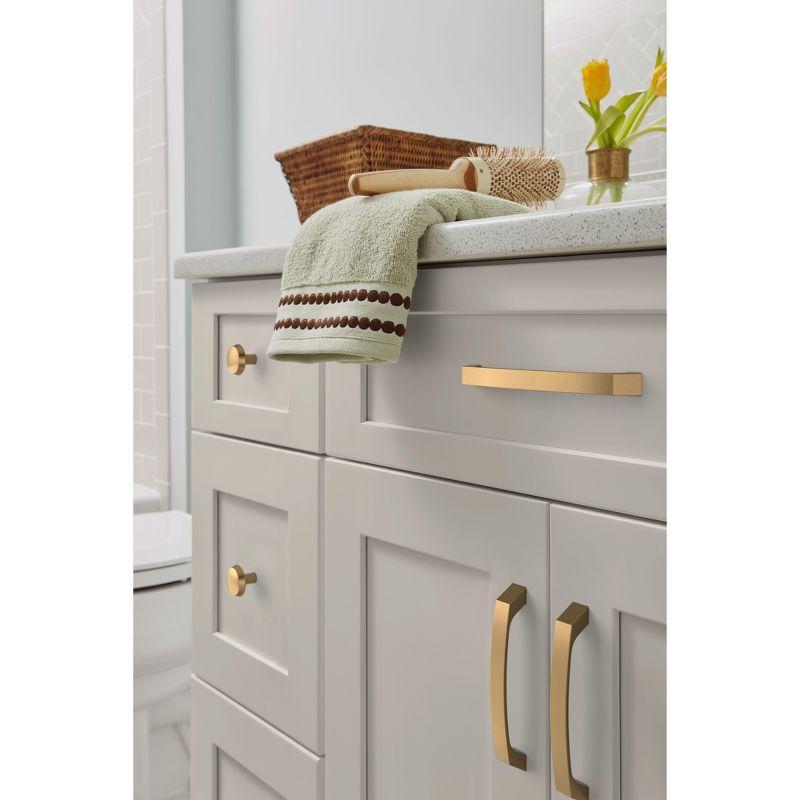 Amerock Premise Cabinet and Drawer Pull