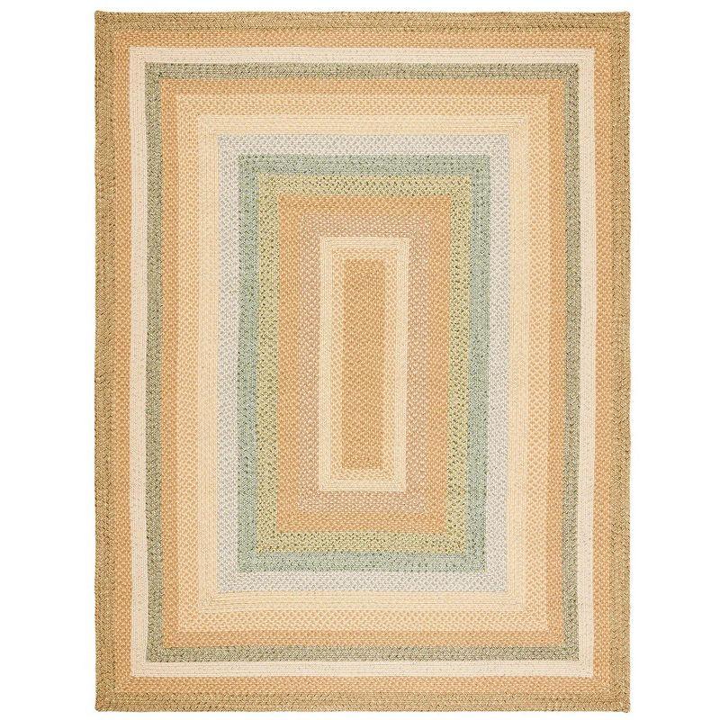 Braided BRD314 Hand Woven Area Rug - Tan/Multi - 8'x10' - Safavieh.