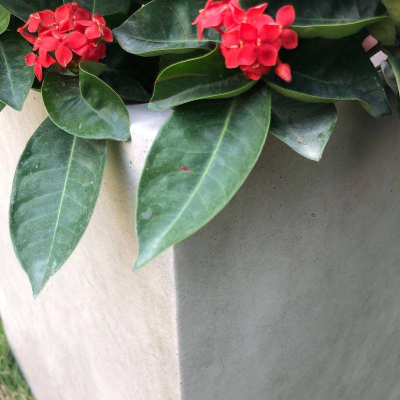 Modern Lightweight Concrete 12" Square Planter for Indoor & Outdoor