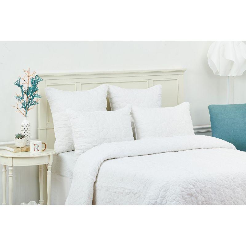 C&F Home Melody Bedding Collection Mara Cotton Standard Sham