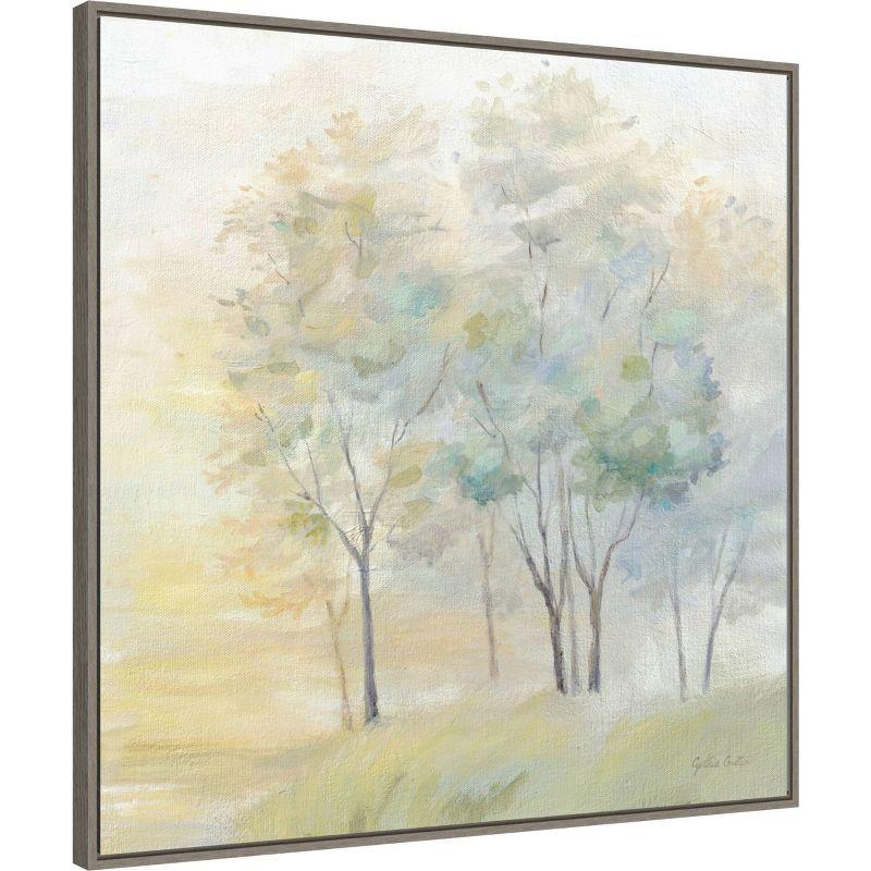 30" x 30" Sunny Glow on Trees II by Cynthia Coulter Framed Canvas Wall Art Print - Amanti Art