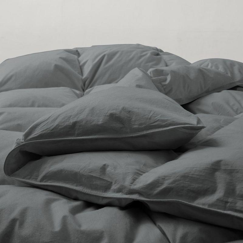 Alwyn Home 600 Fill Power All Seasons Down Comforter