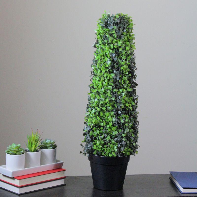 Northlight 25" Green and Black Potted Two-Tone Boxwood Cone Artificial Topiary Tree