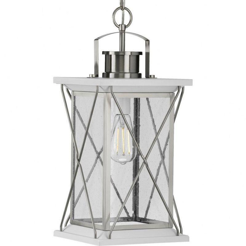 Progress Lighting Barlowe 1-Light Outdoor Hanging Lantern, Stainless Steel, Seeded Glass