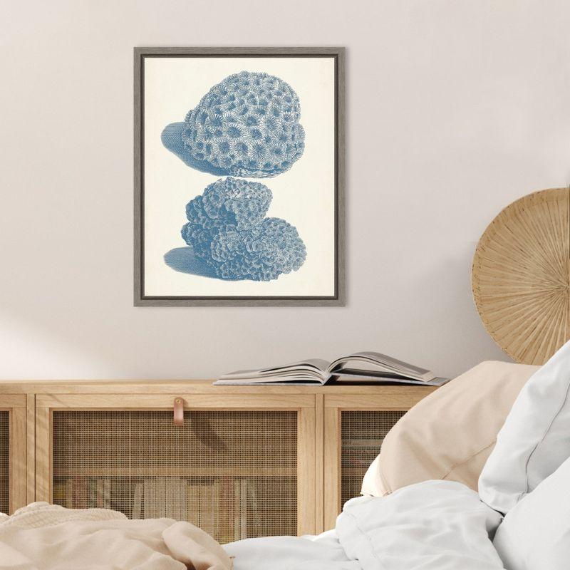 Amanti Art Antique Coral Collection VIII by Vision Studio Canvas Wall Art Print Framed 16 x 20-in.