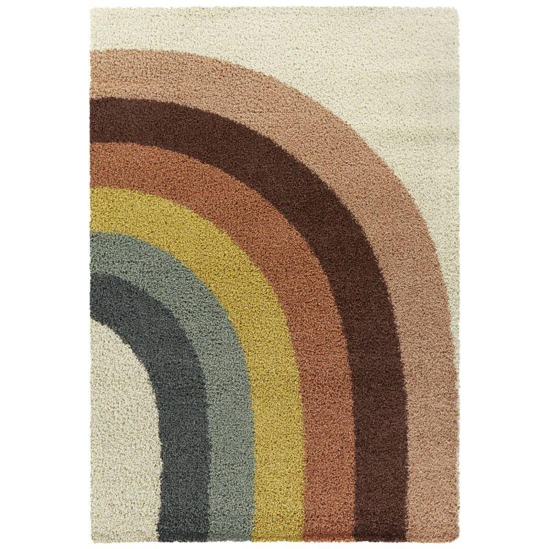 Olanda Rainbow Shag Area Rug