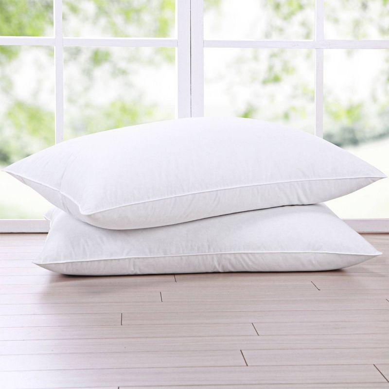 White Goose Feather Hypoallergenic Bed Pillow 2-Pack