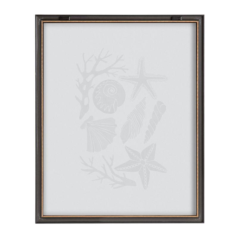 16" x 20" Blake Seashells Black by Cat Coquillette Framed Printed Glass Gray - Kate & Laurel All Things Decor