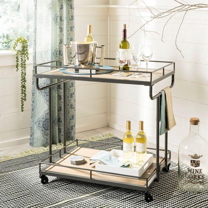 Transitional Silver Rectangular Bar Cart with Tiered Shelves