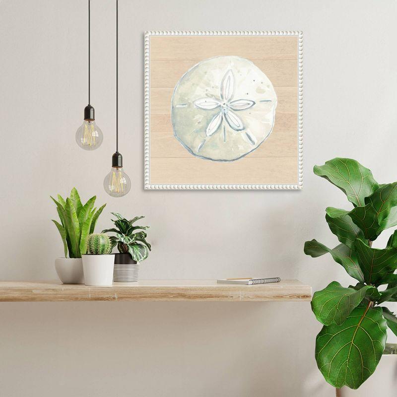 Amanti Art 16"x16" Sand Dollar on Wood Background by Patricia Pinto: Nautical Theme, Polystyrene Frame, Wall Decor