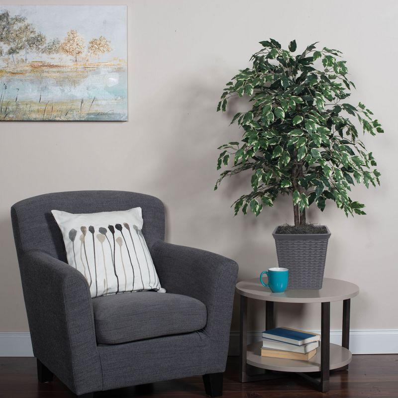 Elegant 4' Variegated Ficus in Rattan Basket with Silk Leaves