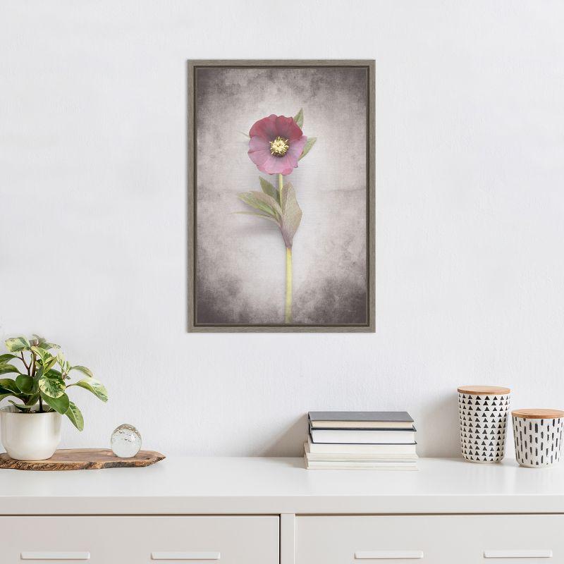 Amanti Art Vintage Hellebore Study VI by Felicity Bradley Framed Canvas Wall Art