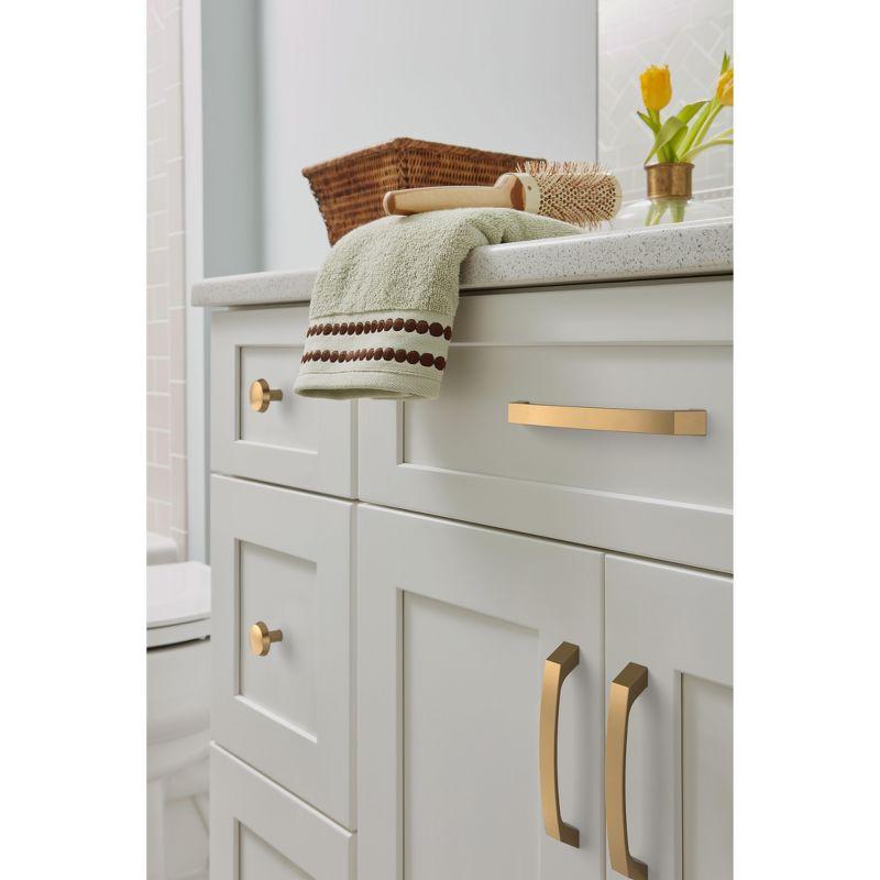 Amerock Premise Cabinet and Drawer Pull